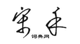 駱恆光宋禾草書個性簽名怎么寫