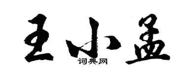 胡問遂王小孟行書個性簽名怎么寫