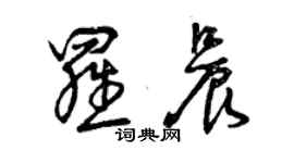 曾慶福羅晨草書個性簽名怎么寫