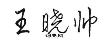 駱恆光王曉帥行書個性簽名怎么寫