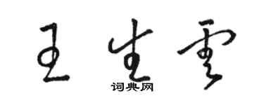 駱恆光王生雲草書個性簽名怎么寫
