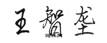 駱恆光王智壟行書個性簽名怎么寫