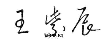 駱恆光王紫辰草書個性簽名怎么寫