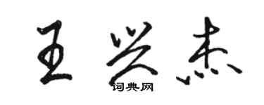 駱恆光王興傑行書個性簽名怎么寫