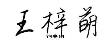 王正良王梓萌行書個性簽名怎么寫
