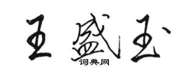 駱恆光王盛玉行書個性簽名怎么寫