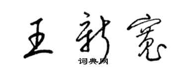 梁錦英王新寬草書個性簽名怎么寫