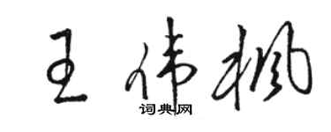 駱恆光王偉楓草書個性簽名怎么寫