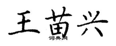 丁謙王苗興楷書個性簽名怎么寫