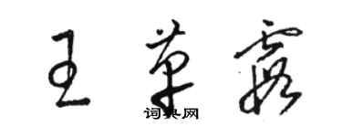 駱恆光王革霞草書個性簽名怎么寫