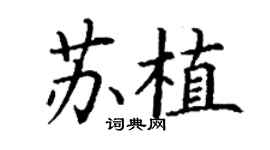 丁謙蘇植楷書個性簽名怎么寫