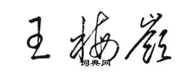 駱恆光王梅嶺草書個性簽名怎么寫