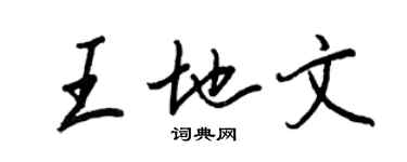 王正良王地文行書個性簽名怎么寫