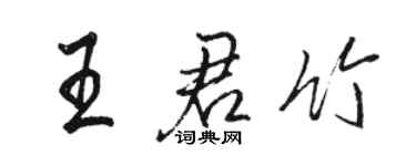 駱恆光王君竹行書個性簽名怎么寫