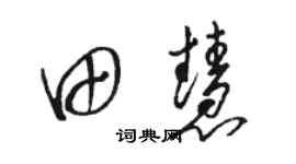 駱恆光田慧草書個性簽名怎么寫