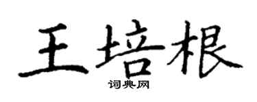 丁謙王培根楷書個性簽名怎么寫