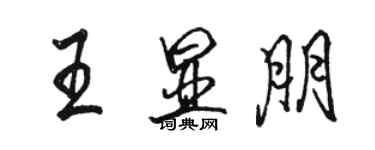 駱恆光王顯朋行書個性簽名怎么寫