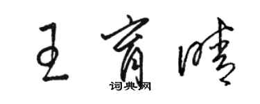 駱恆光王育晴草書個性簽名怎么寫