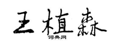 曾慶福王植森行書個性簽名怎么寫