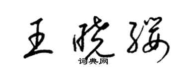 梁錦英王曉纓草書個性簽名怎么寫