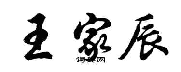 胡問遂王家辰行書個性簽名怎么寫