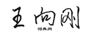駱恆光王向剛行書個性簽名怎么寫