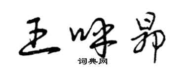 曾慶福王呼昂草書個性簽名怎么寫