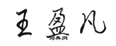 駱恆光王盈凡行書個性簽名怎么寫