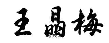 胡問遂王晶梅行書個性簽名怎么寫