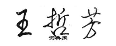 駱恆光王哲芳行書個性簽名怎么寫