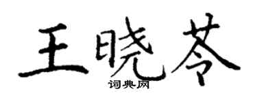 丁謙王曉苓楷書個性簽名怎么寫