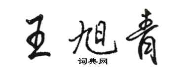 駱恆光王旭青行書個性簽名怎么寫