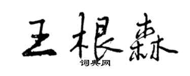 曾慶福王根森行書個性簽名怎么寫