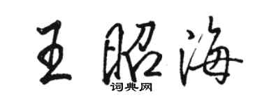 駱恆光王昭海行書個性簽名怎么寫