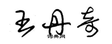 朱錫榮王丹奇草書個性簽名怎么寫