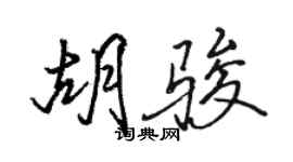 駱恆光胡駿行書個性簽名怎么寫