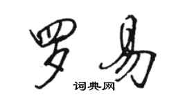 駱恆光羅易行書個性簽名怎么寫