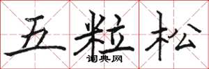 駱恆光五粒松楷書怎么寫