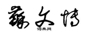 朱錫榮蘇文博草書個性簽名怎么寫