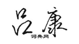 駱恆光呂康行書個性簽名怎么寫