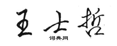 駱恆光王士哲行書個性簽名怎么寫