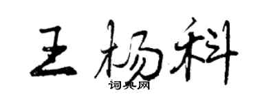 曾慶福王楊科行書個性簽名怎么寫