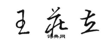 駱恆光王莊立草書個性簽名怎么寫