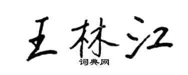 王正良王林江行書個性簽名怎么寫