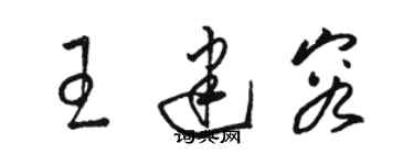 駱恆光王建容草書個性簽名怎么寫