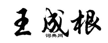 胡問遂王成根行書個性簽名怎么寫