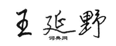 駱恆光王延野行書個性簽名怎么寫