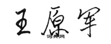 駱恆光王原軍行書個性簽名怎么寫