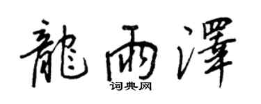 王正良龍雨澤行書個性簽名怎么寫