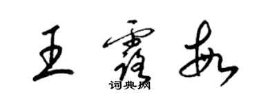 梁錦英王露敏草書個性簽名怎么寫